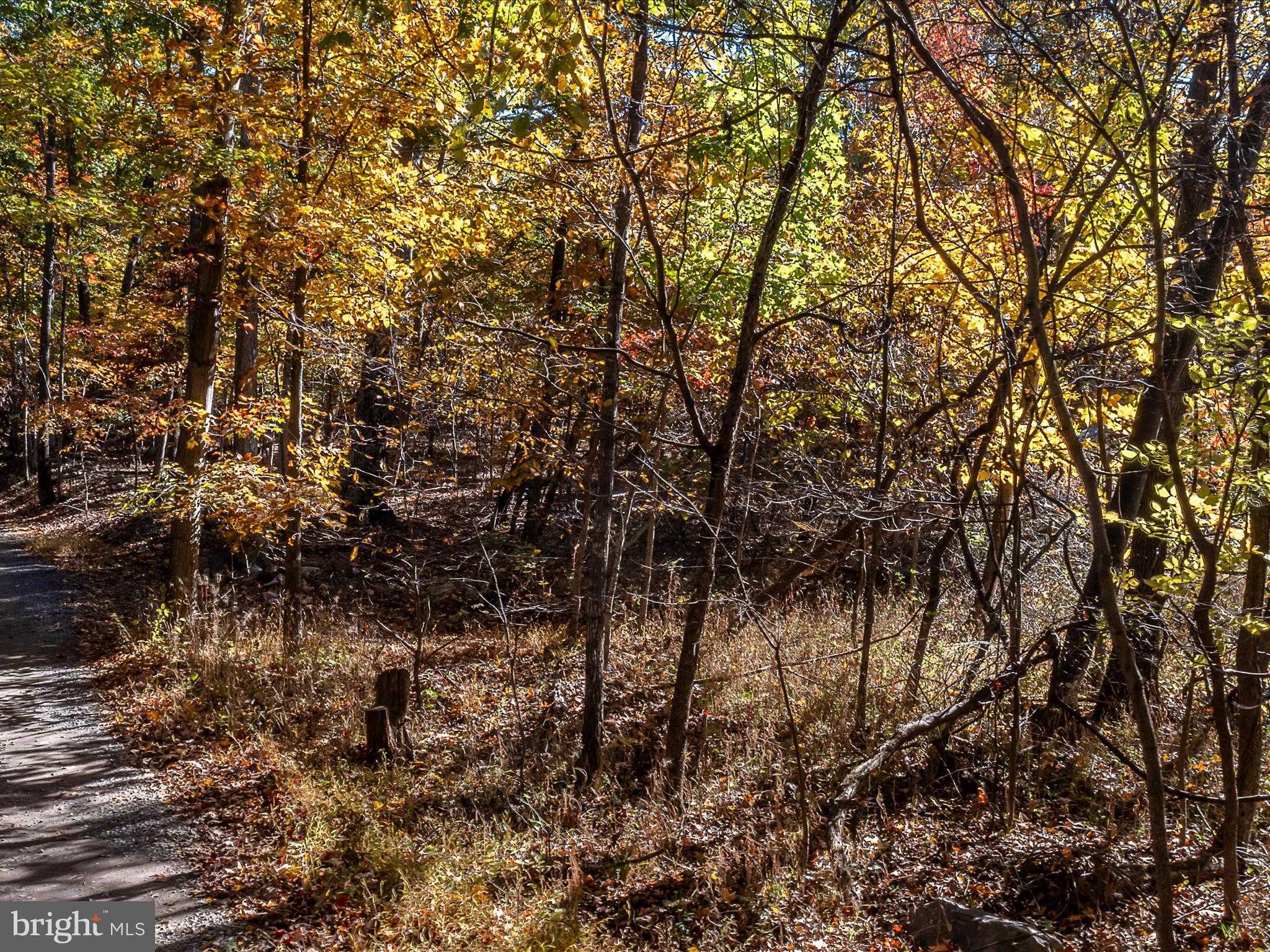 Hedgesville Rd photo 51