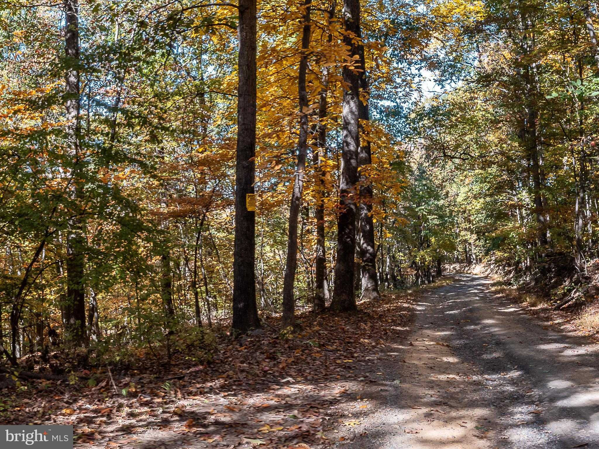 Hedgesville Rd photo 53