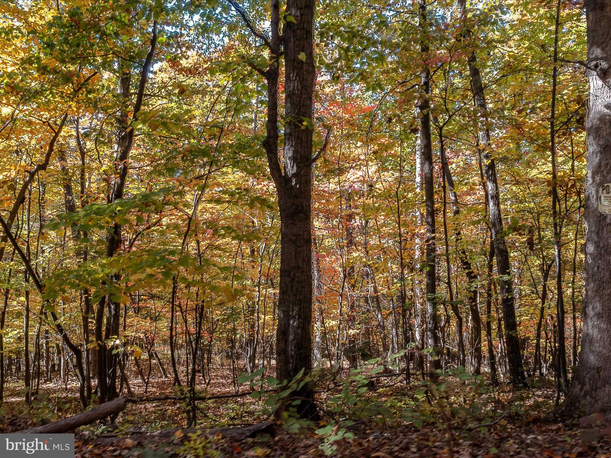 Hedgesville Rd photo 54