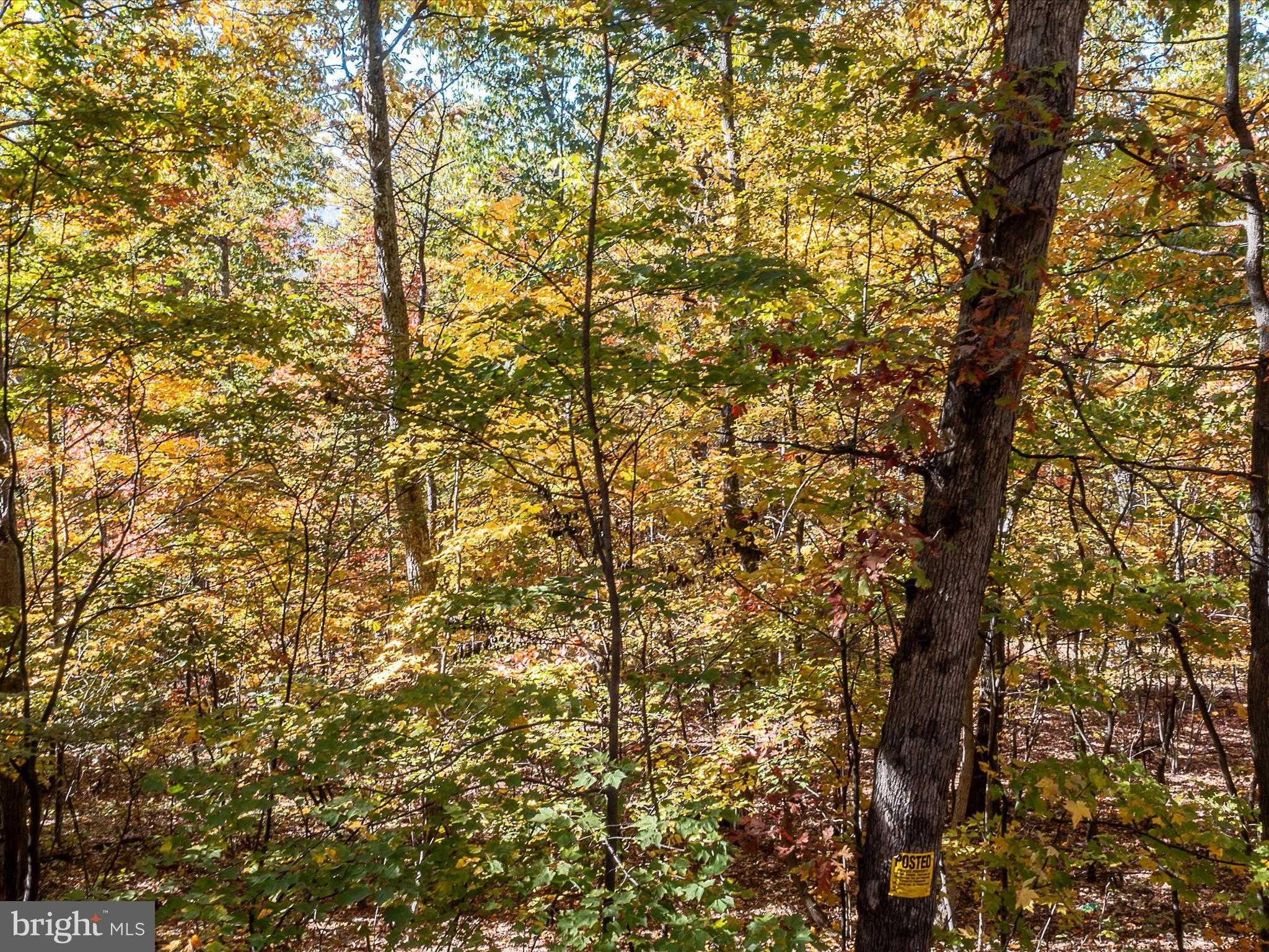 Hedgesville Rd photo 57