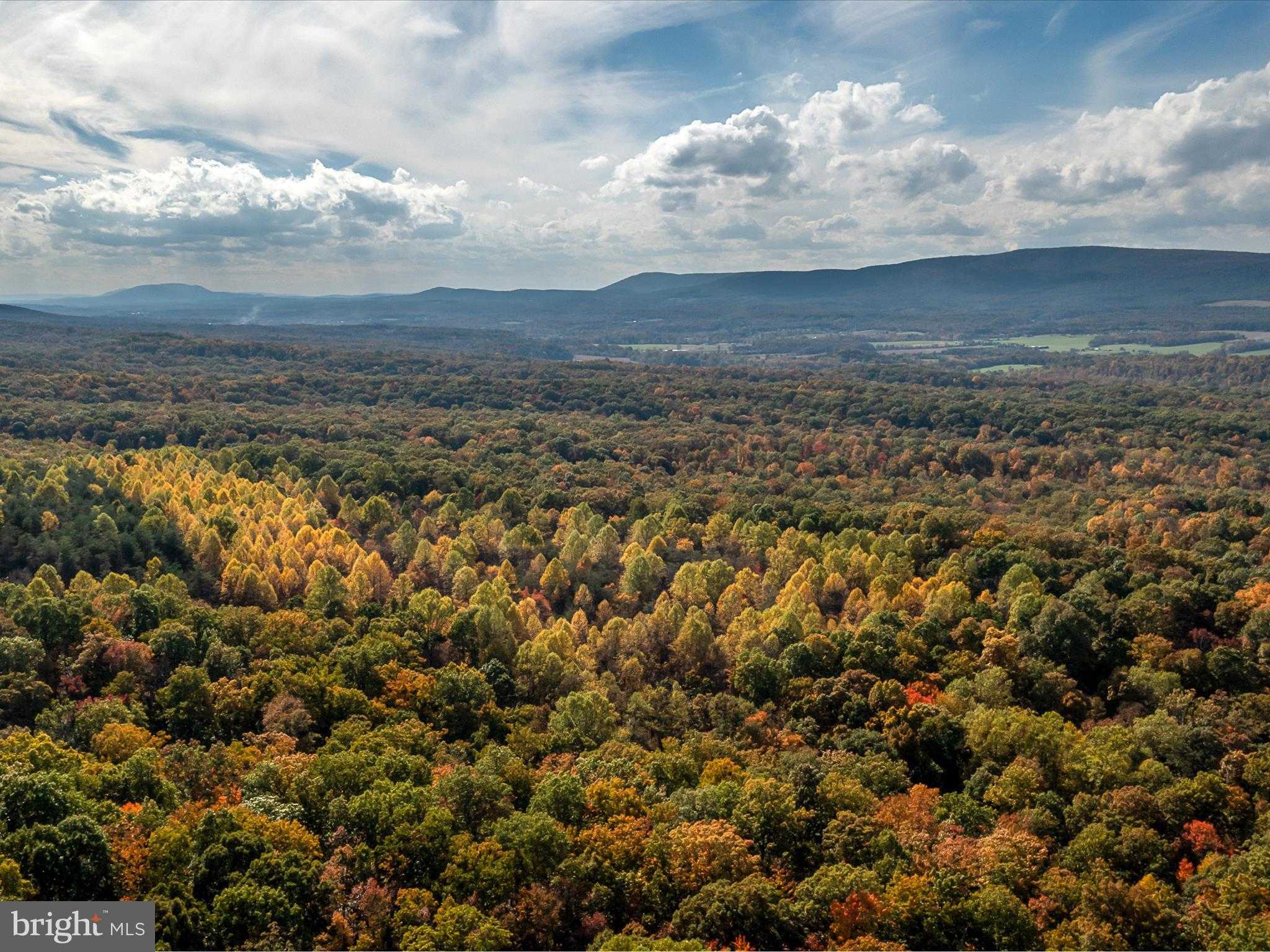 Hedgesville Rd photo 6