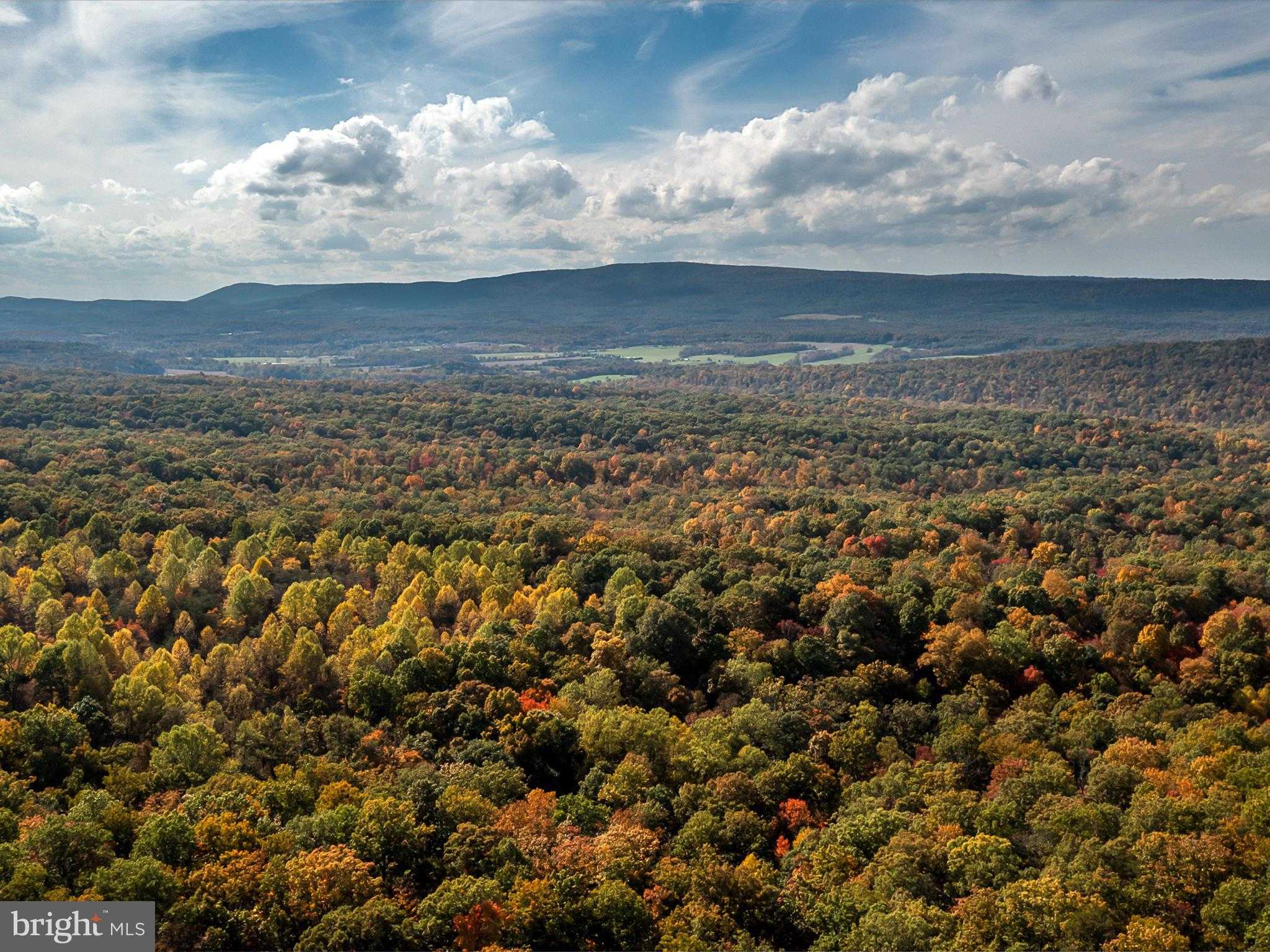 Hedgesville Rd photo 7