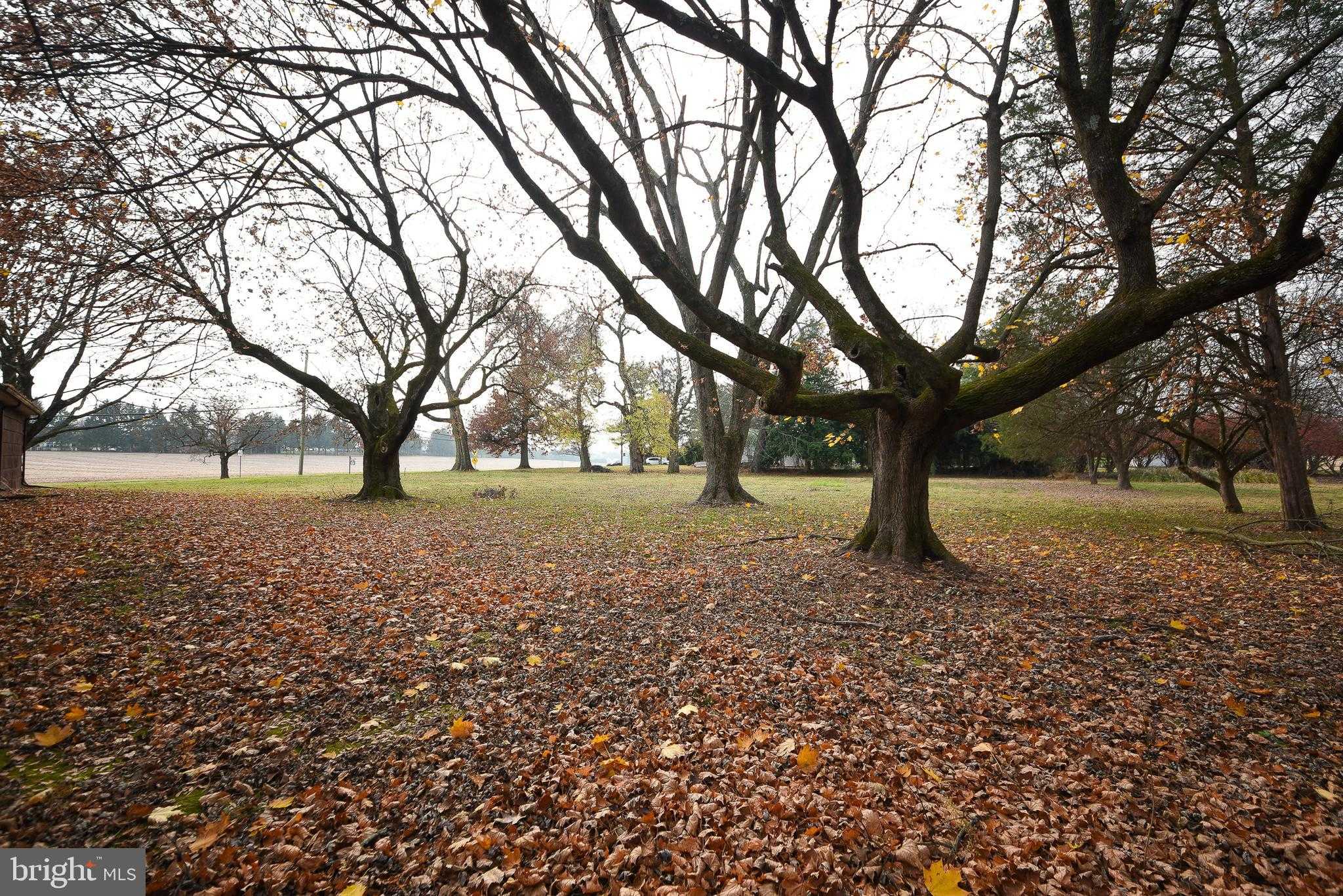 1 Sunnyside Ln photo 39