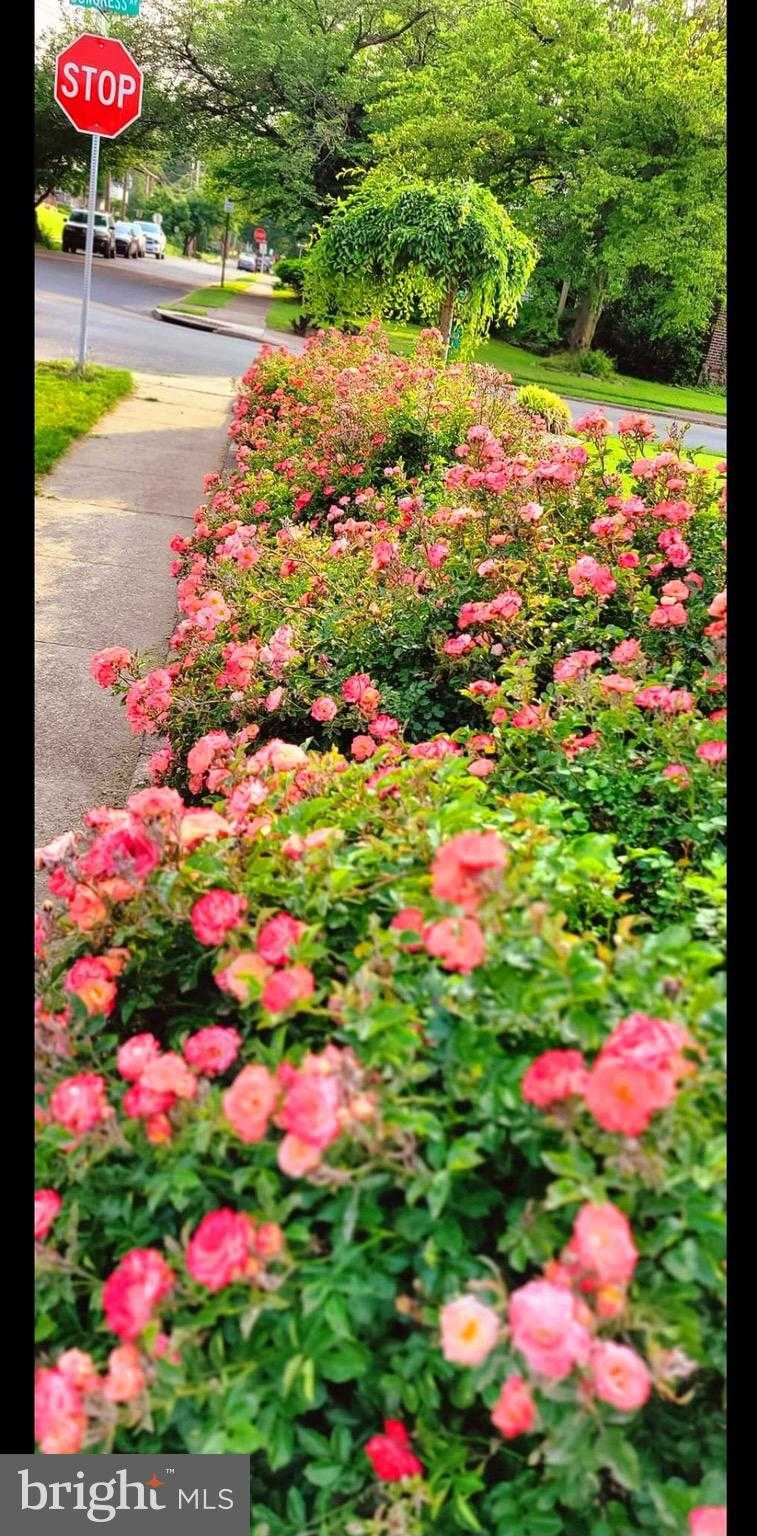 341 Congress Ave photo 51