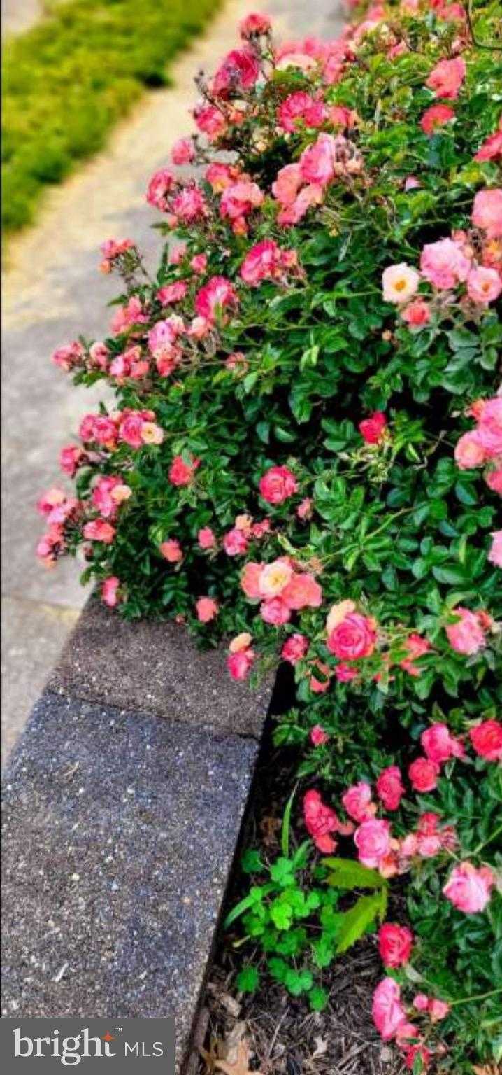 341 Congress Ave photo 52