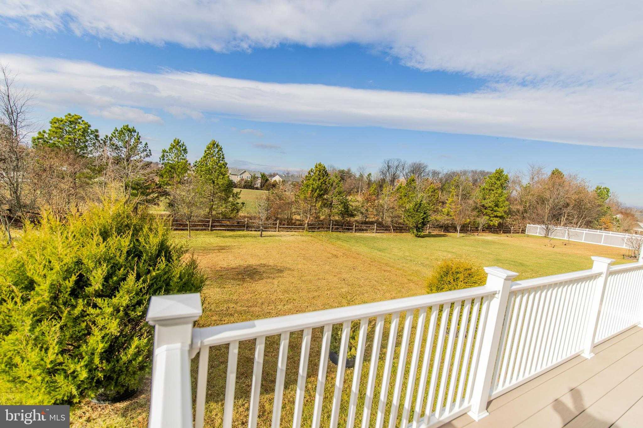 13400 Oaklands Manor Dr photo 38