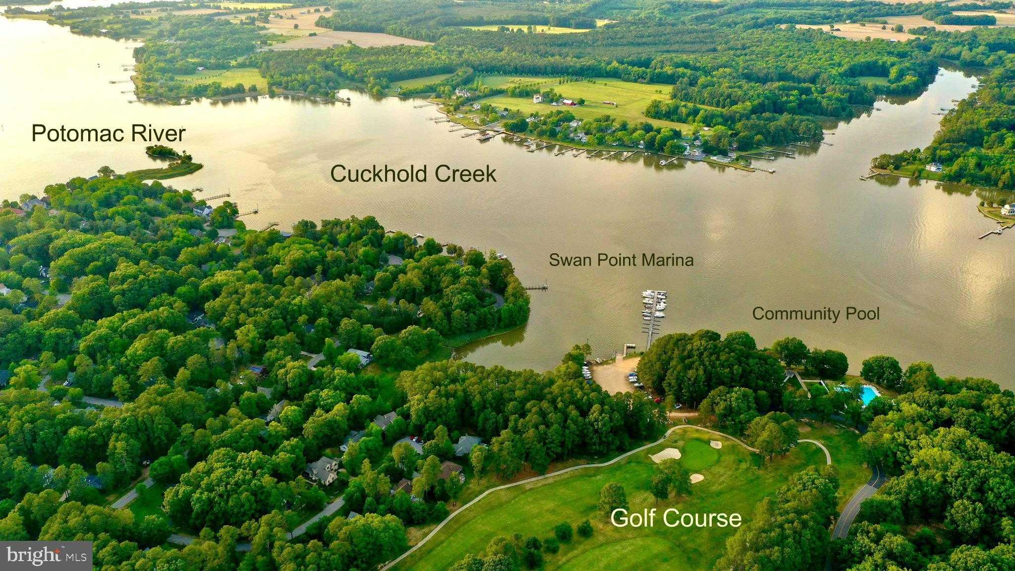 14925 Abelia CT photo 31