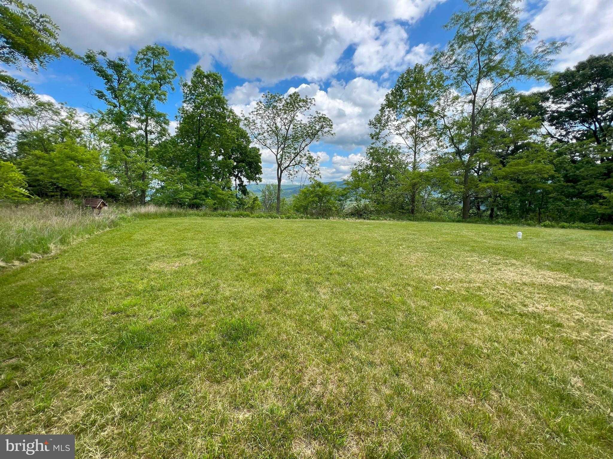 43 Sierra Vista Way photo 5