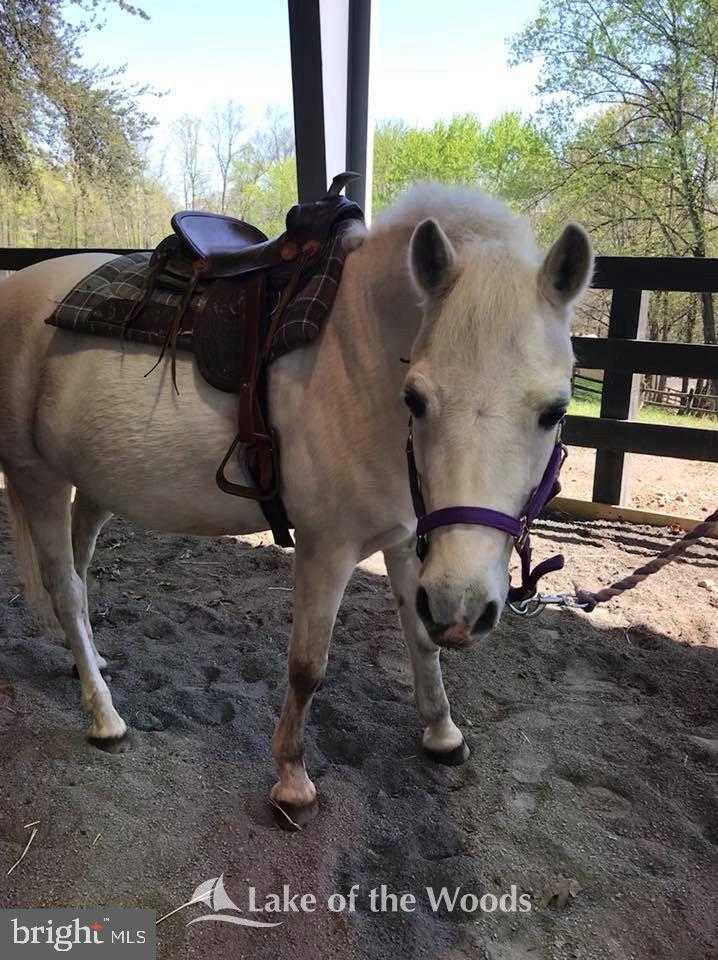 616 MT Pleasant Dr photo 16