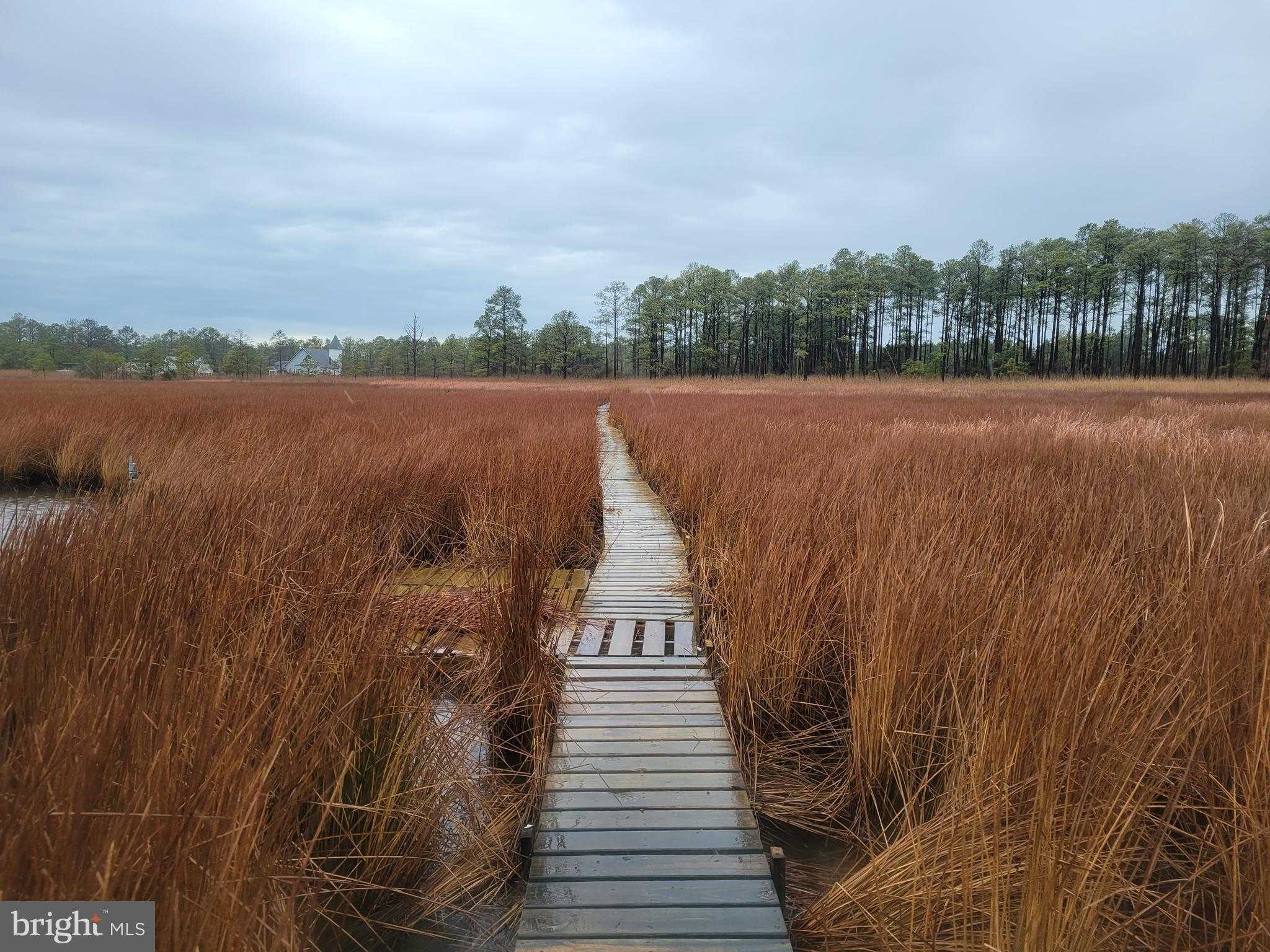 3241 Robbins Rd photo 14