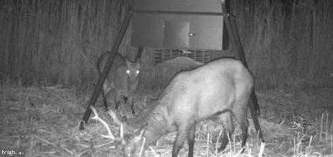 3241 Robbins Rd photo 2