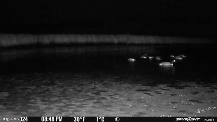 3241 Robbins Rd photo 34