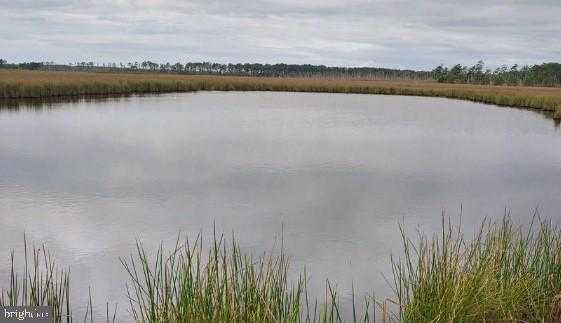 3241 Robbins Rd photo 4