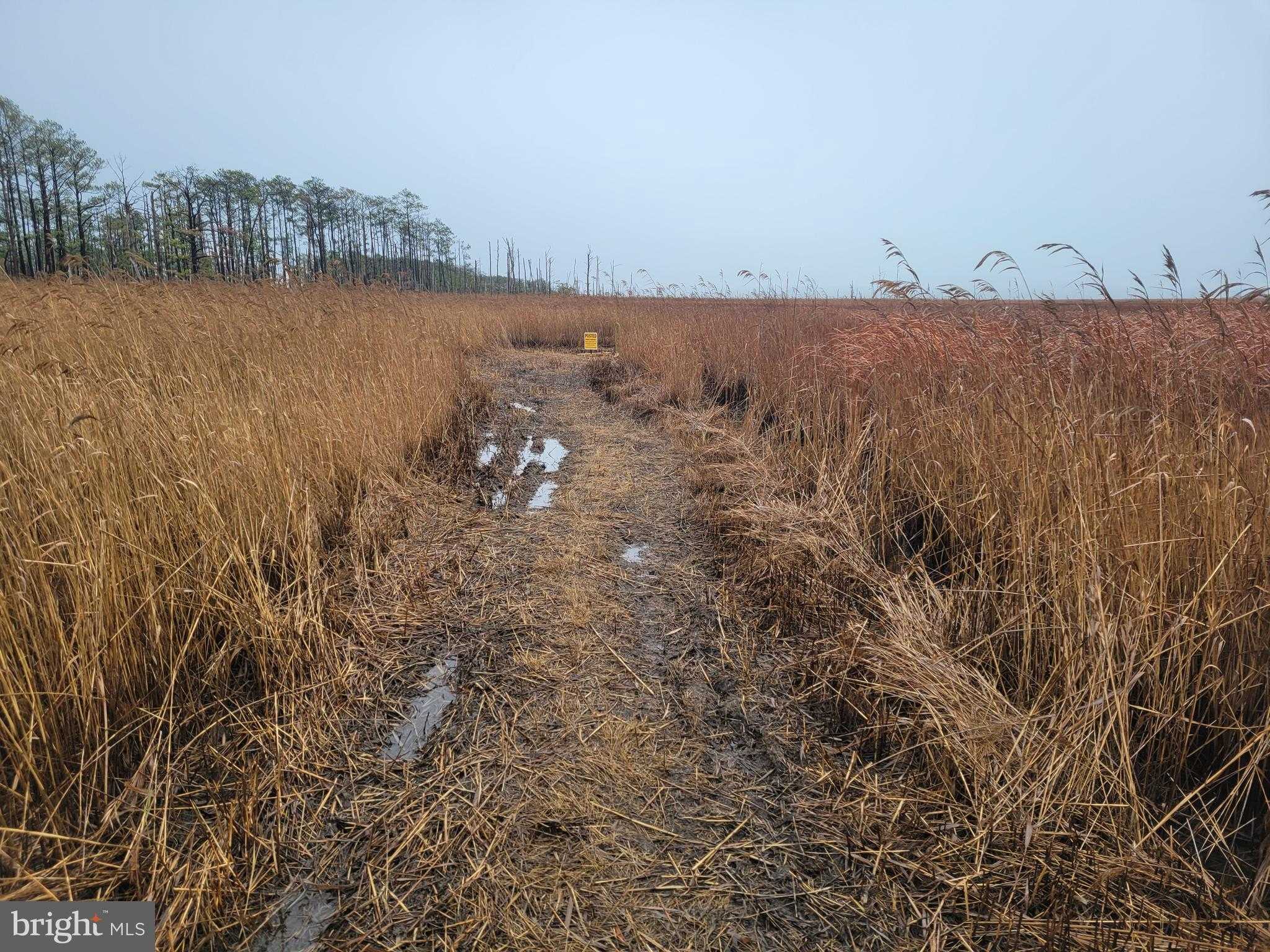 3241 Robbins Rd photo 5