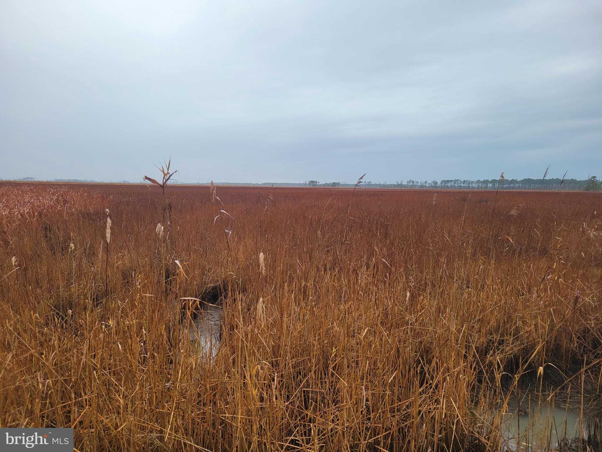 3241 Robbins Rd photo 7