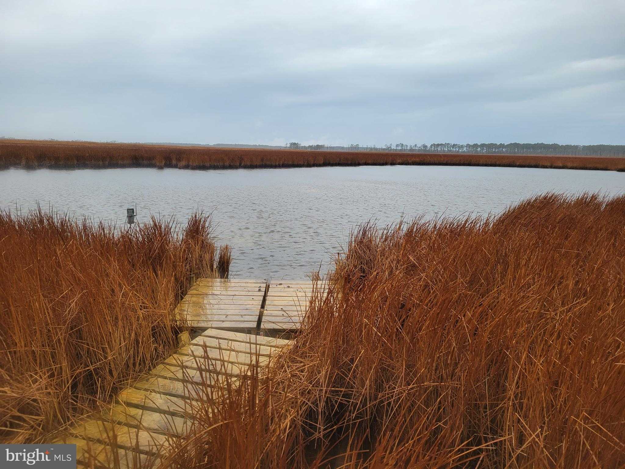 3241 Robbins Rd photo 9