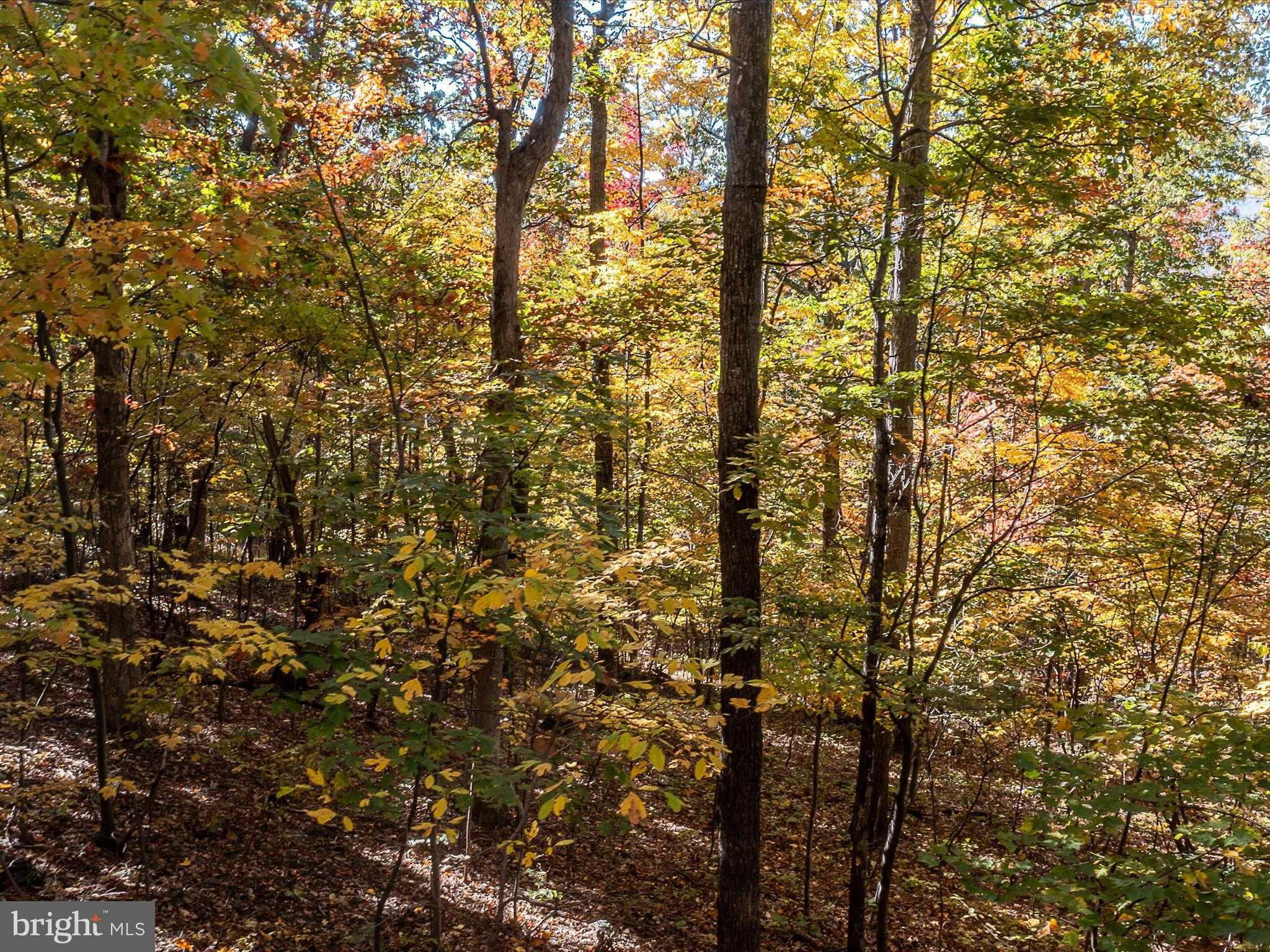 Berkeley Cir photo 12