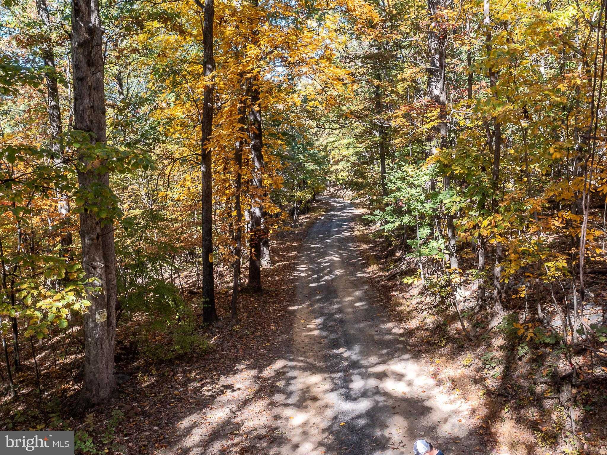 Berkeley Cir photo 15