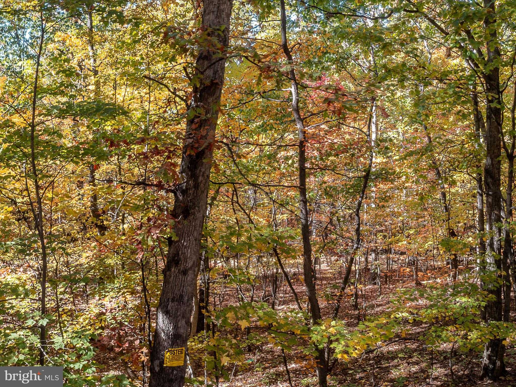 Berkeley Cir photo 16