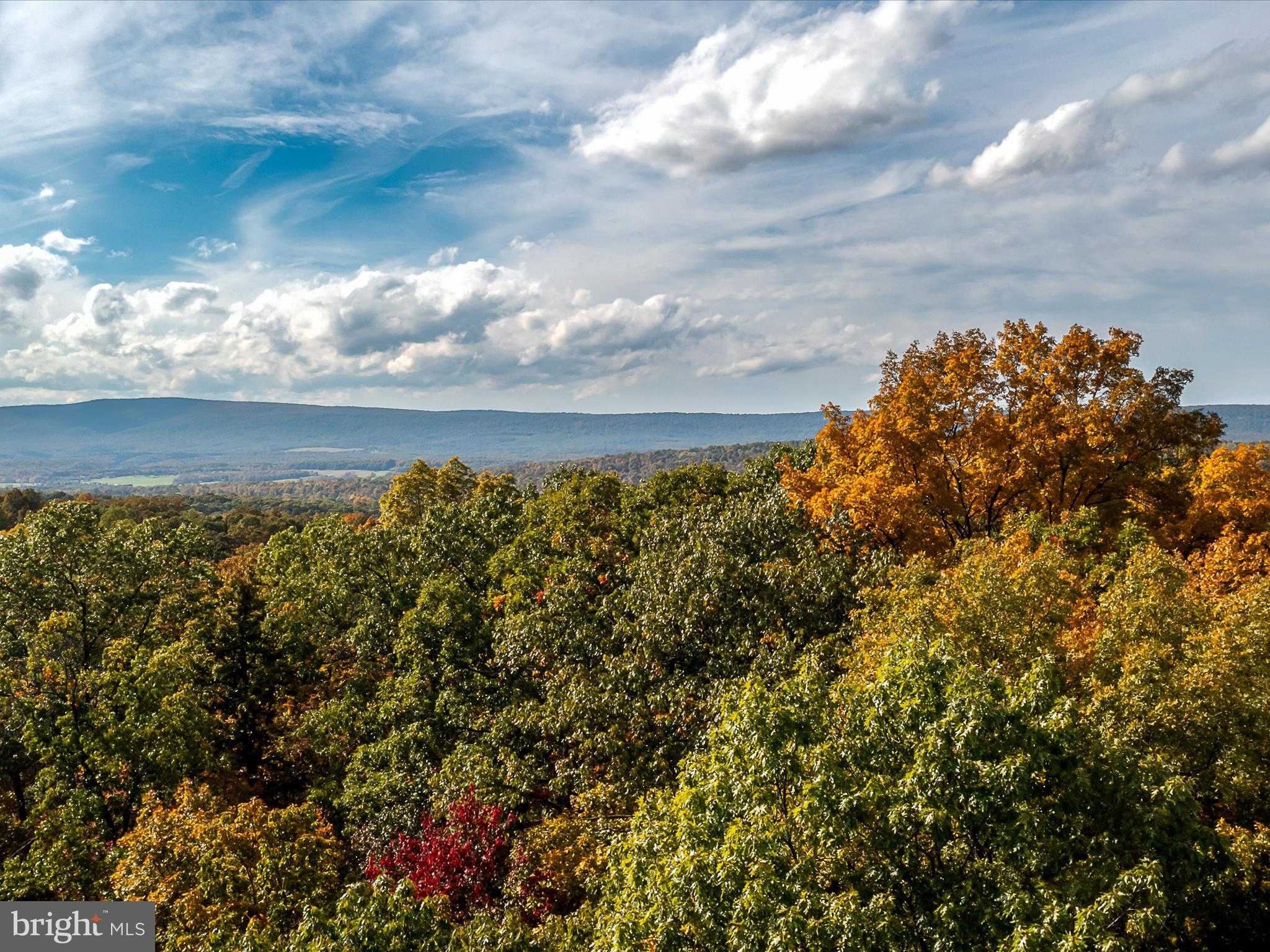 Berkeley Cir photo 24