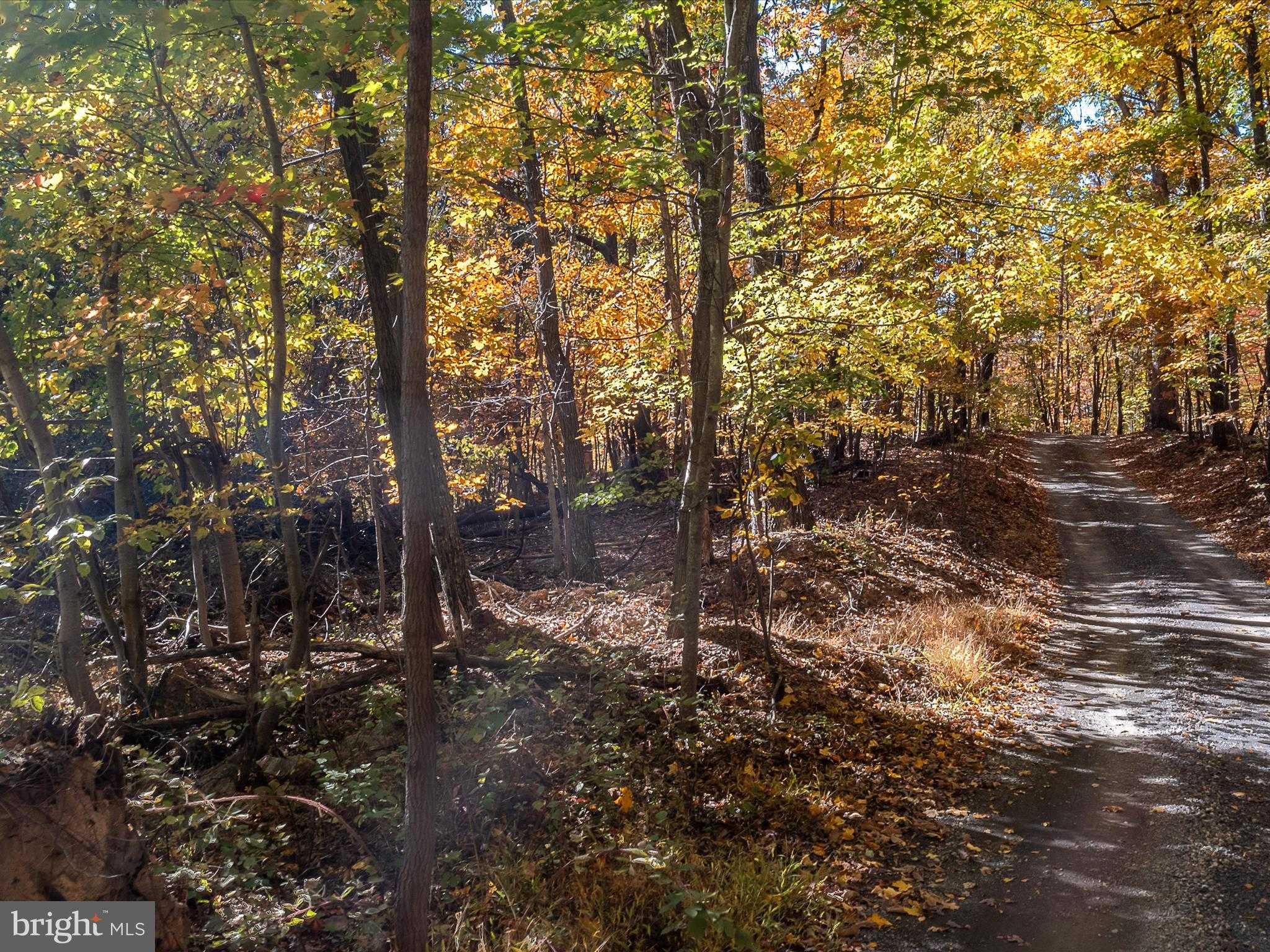 Berkeley Cir photo 5