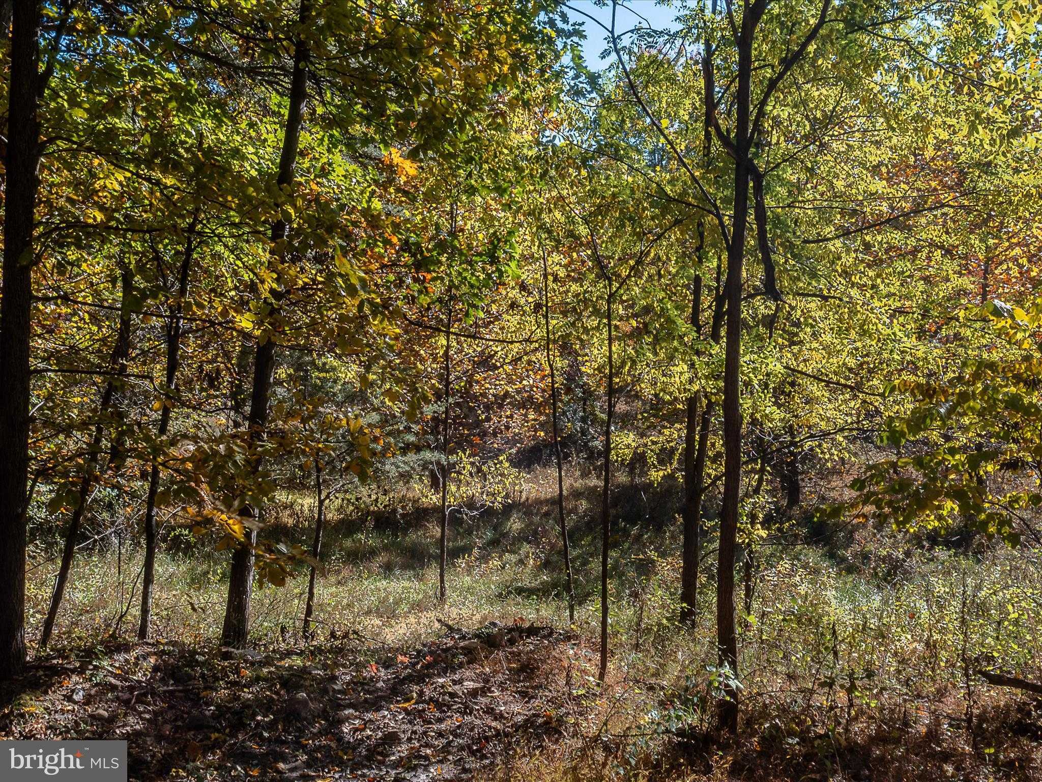 Berkeley Cir photo 7