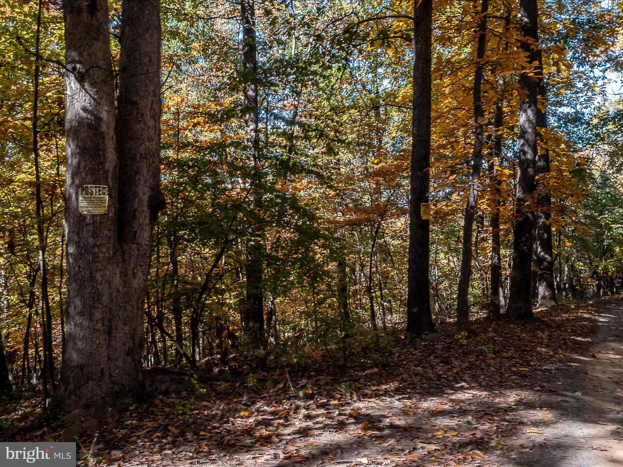 Berkeley Cir photo 9