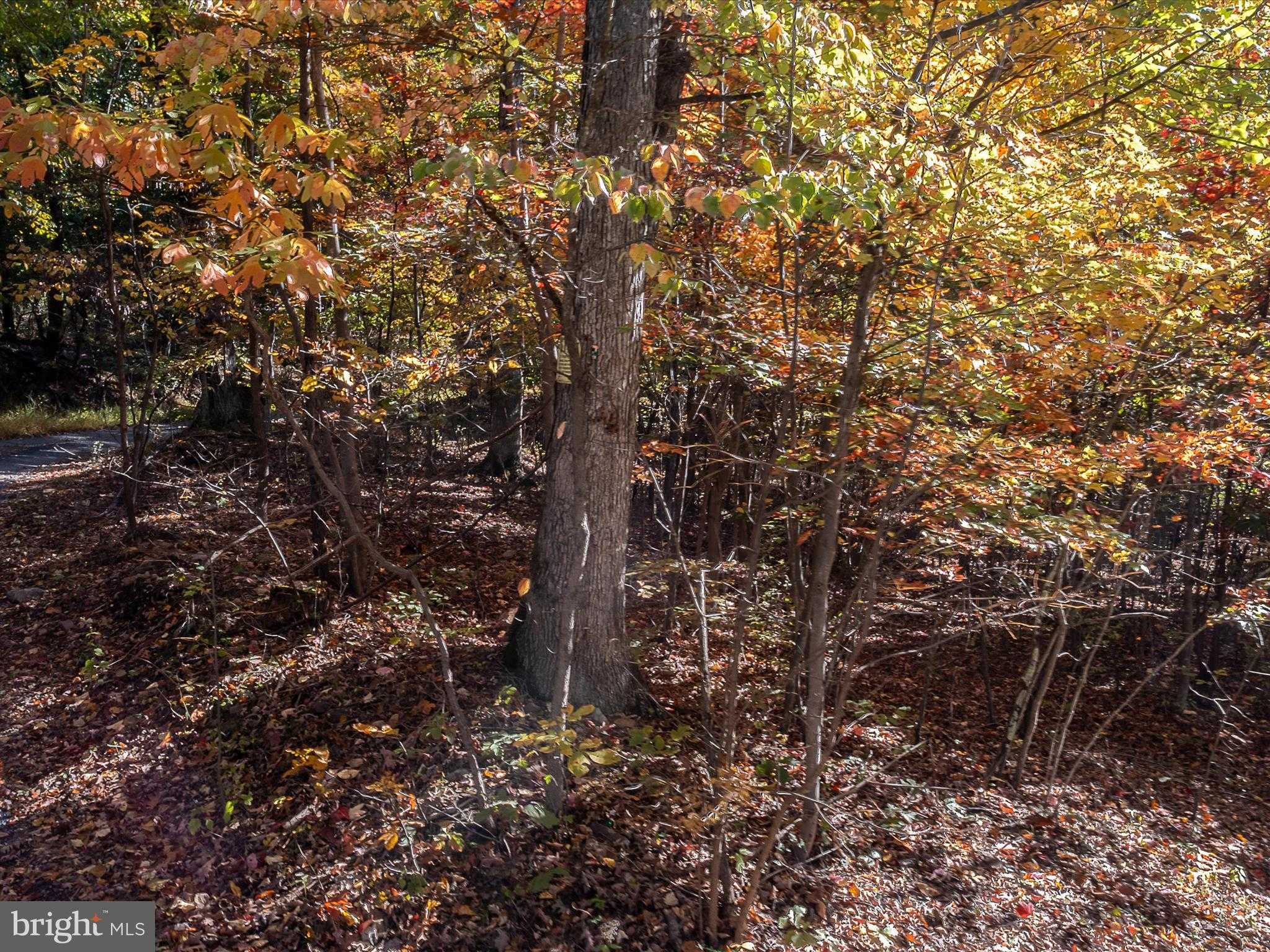 Berkeley Cir photo 17