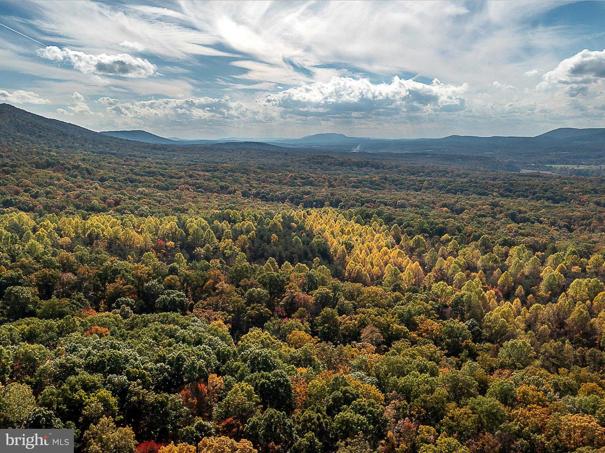 Berkeley Cir photo 19