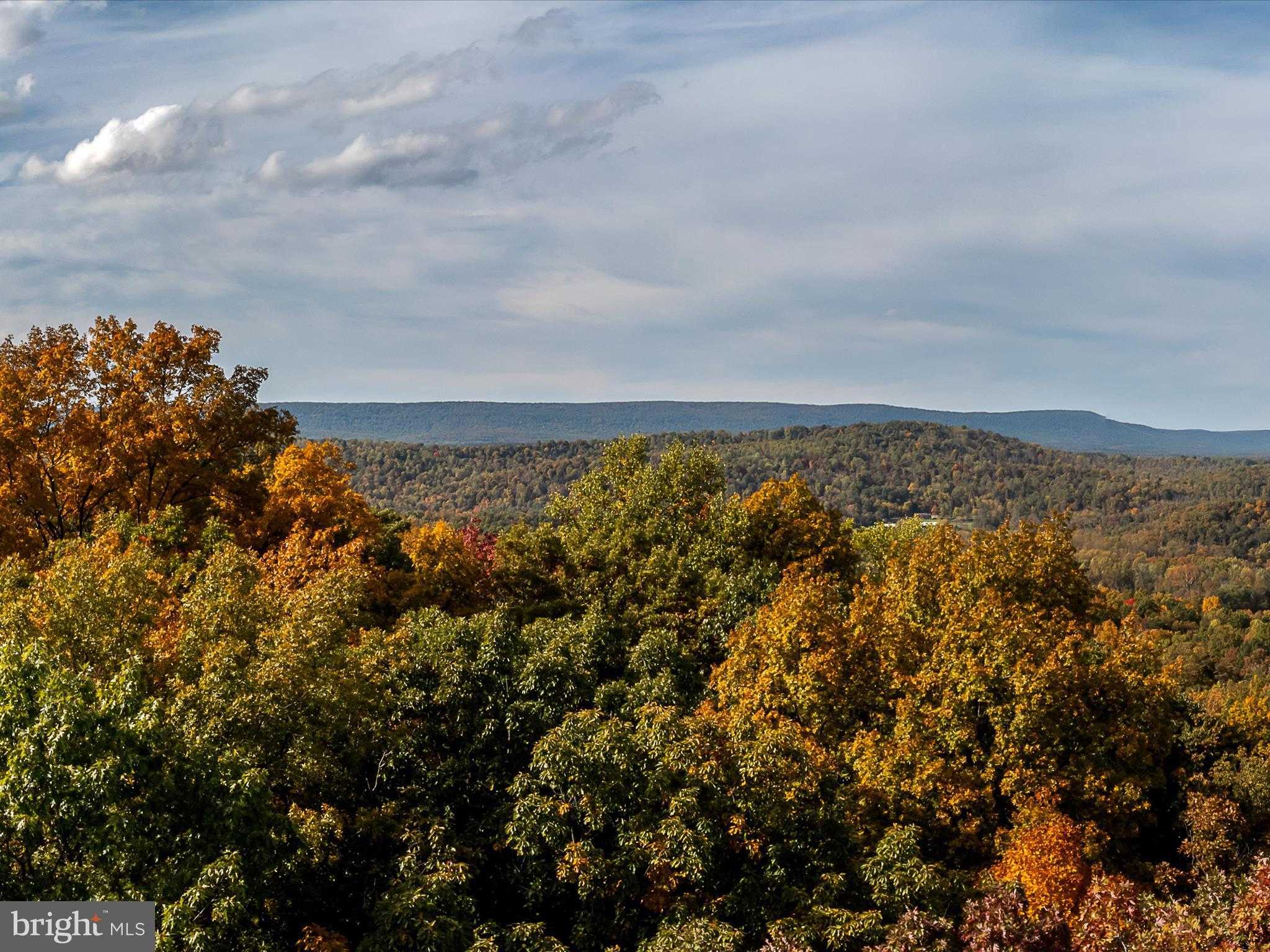 Berkeley Cir photo 27