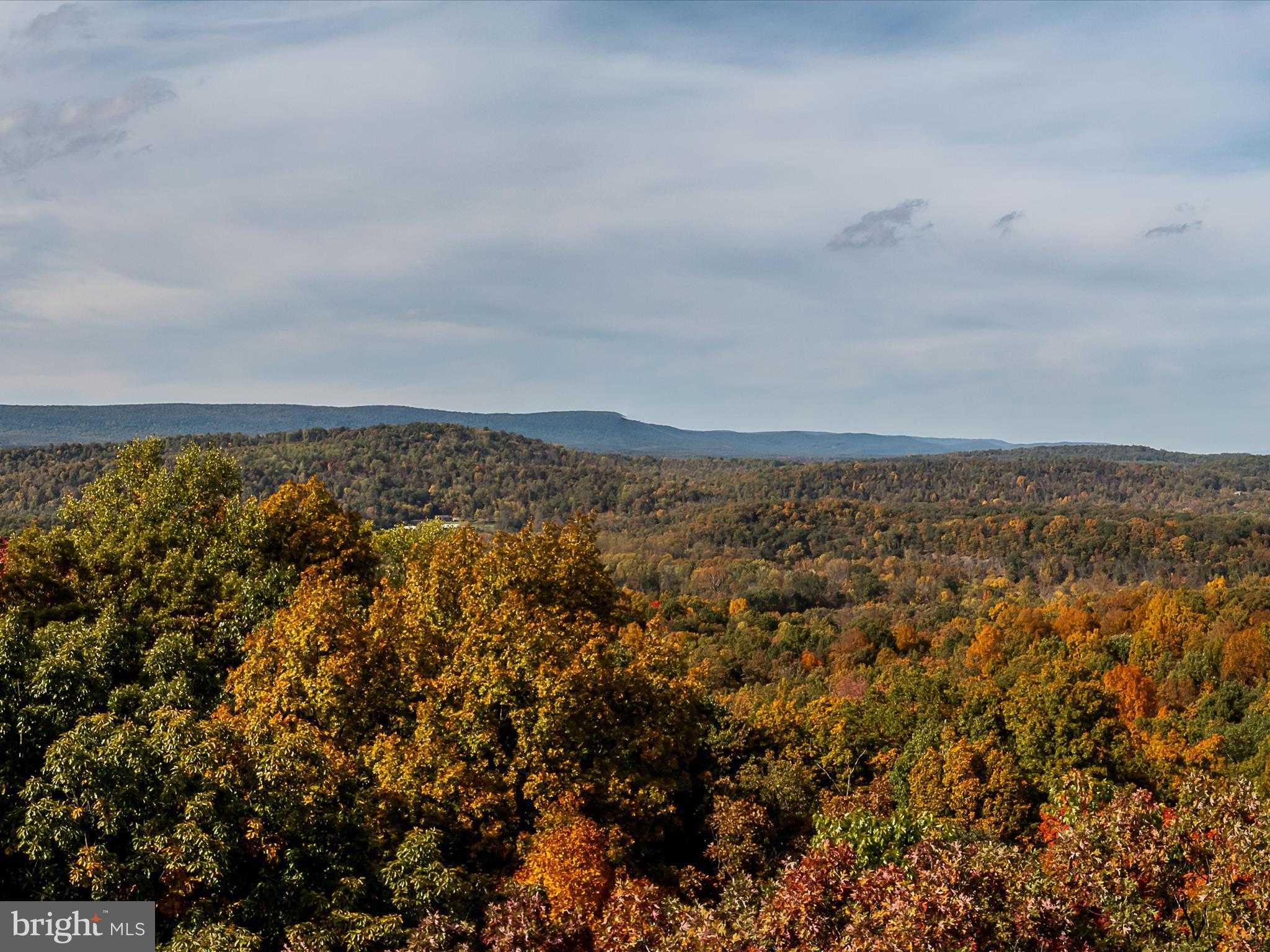 Berkeley Cir photo 29