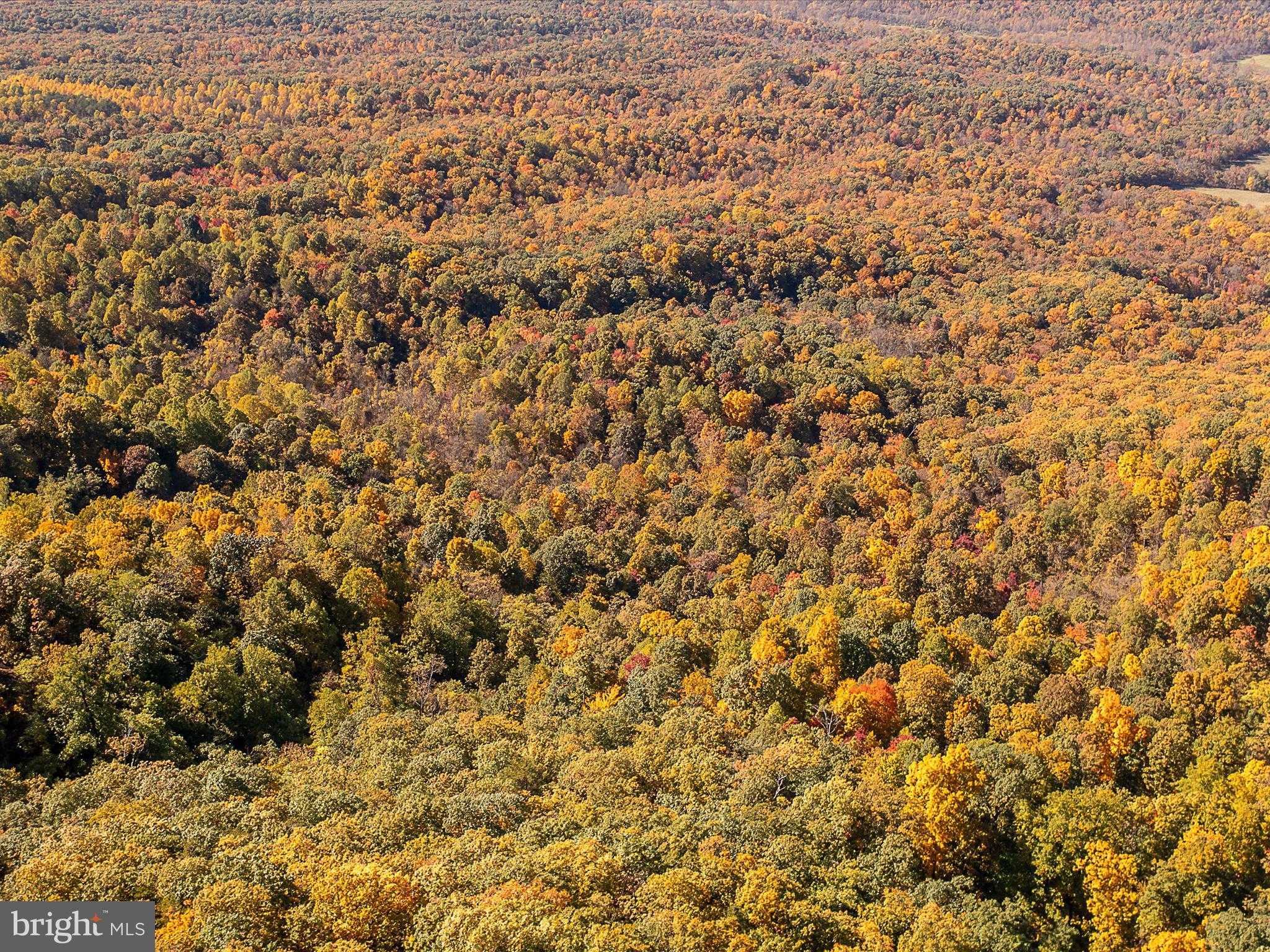 Berkeley Cir photo 31