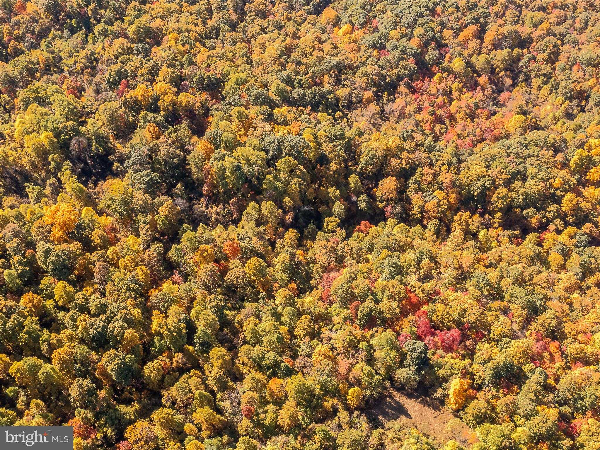 Berkeley Cir photo 37