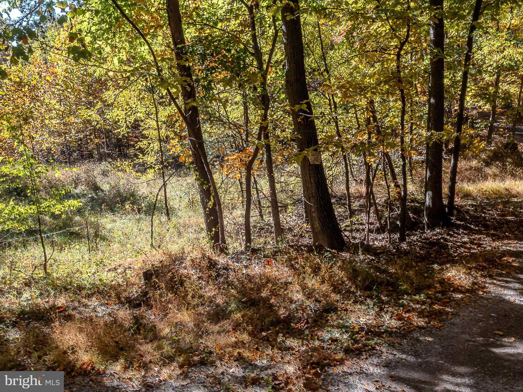 Berkeley Cir photo 4