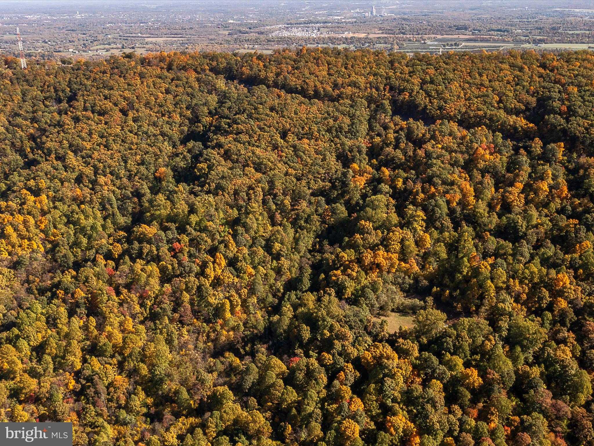 Berkeley Cir photo 43