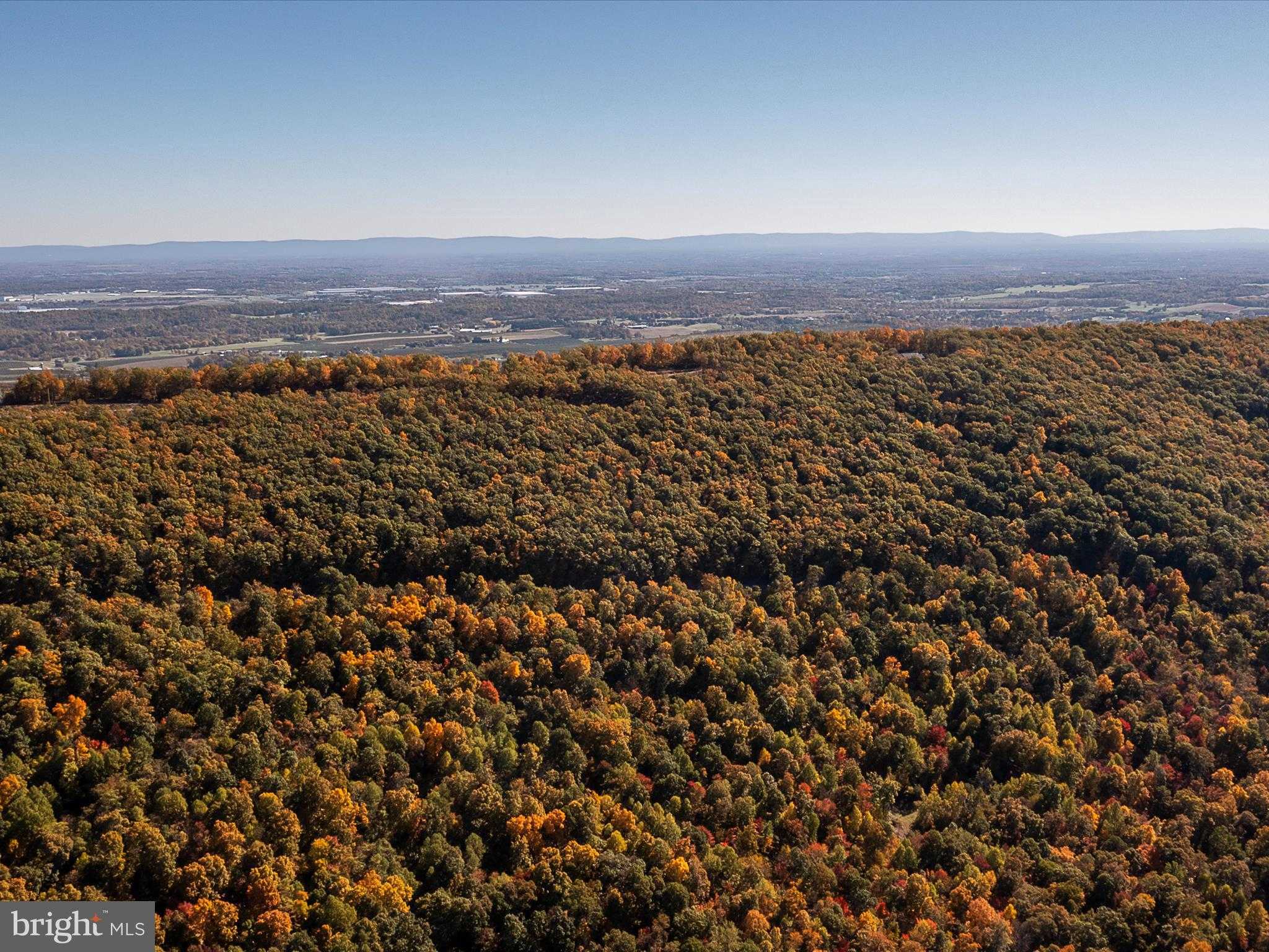 Berkeley Cir photo 48