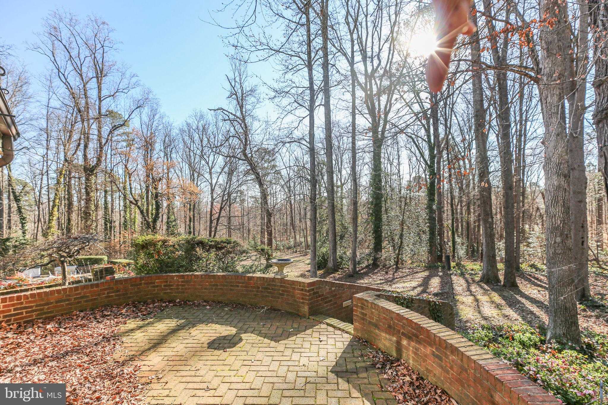 4004 Longwood Dr photo 5