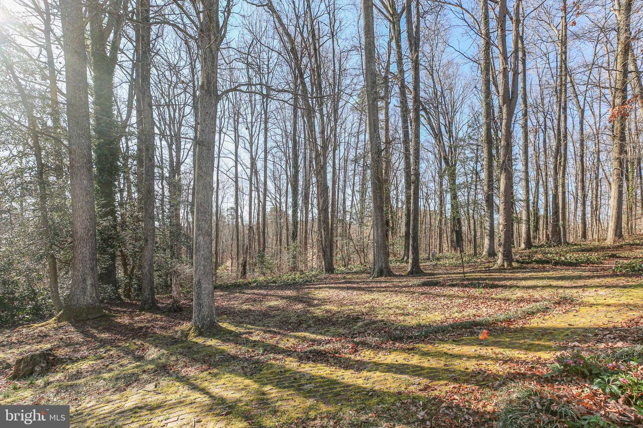 4004 Longwood Dr photo 60