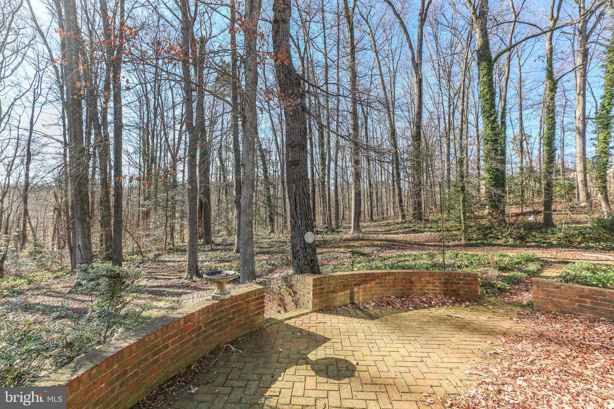 4004 Longwood Dr photo 66