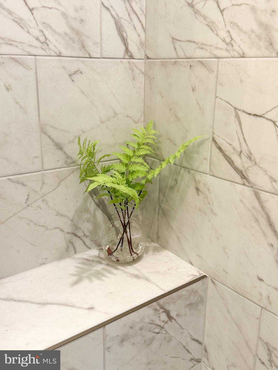 11363 Hypatia Loop photo 72