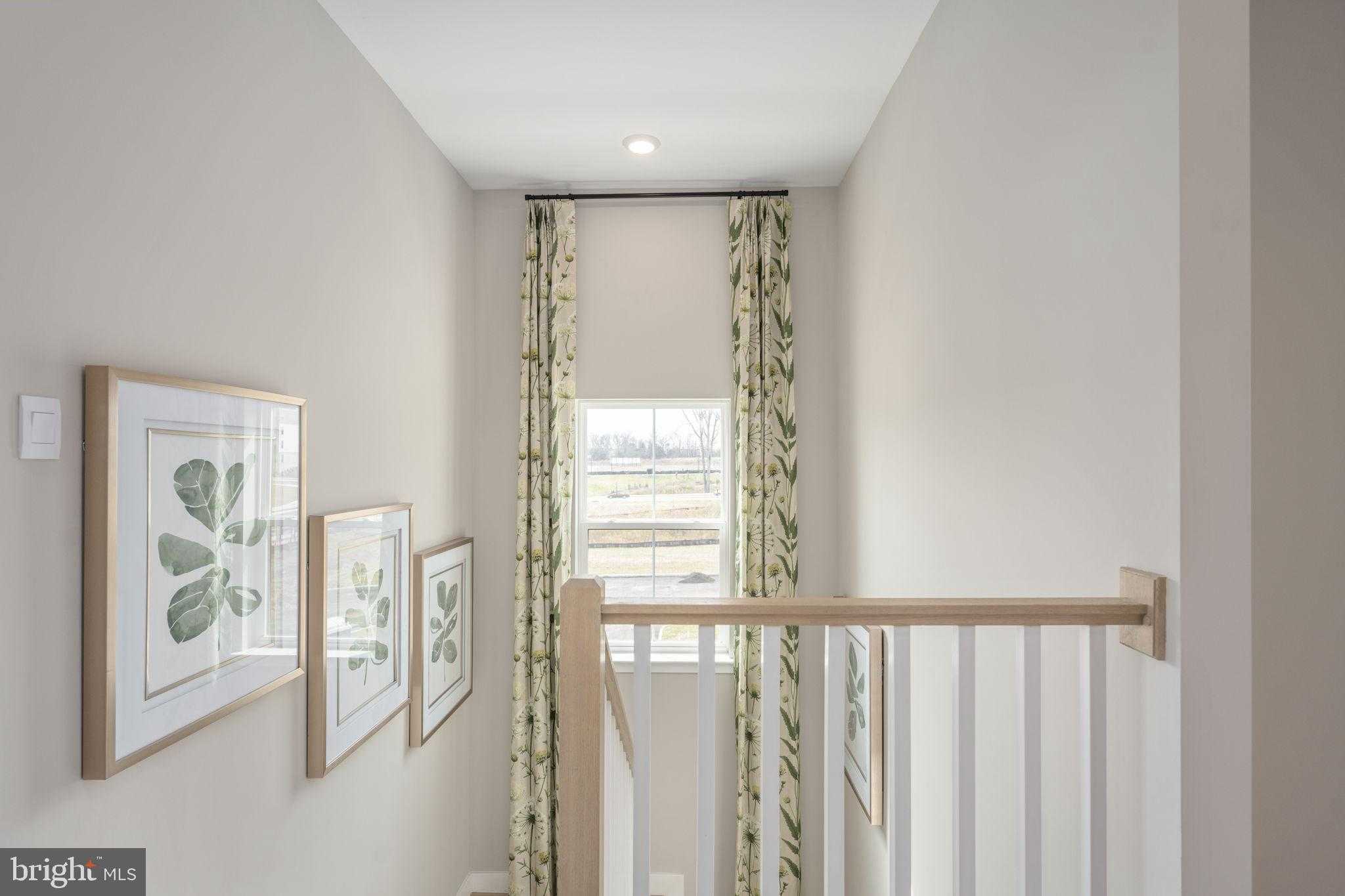 11365 Hypatia Loop photo 40