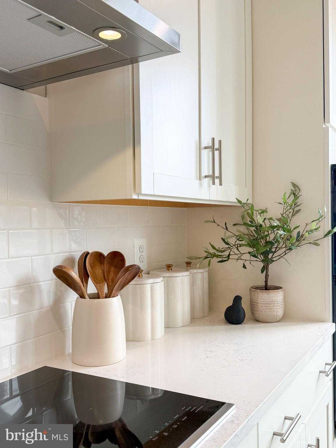 11365 Hypatia Loop photo 50