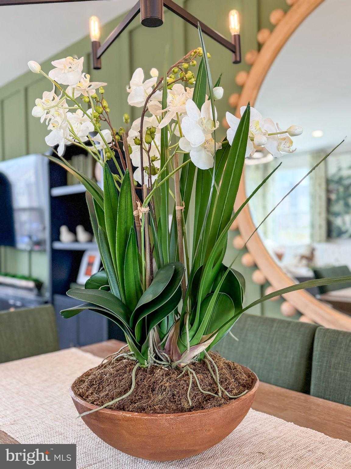 11365 Hypatia Loop photo 54