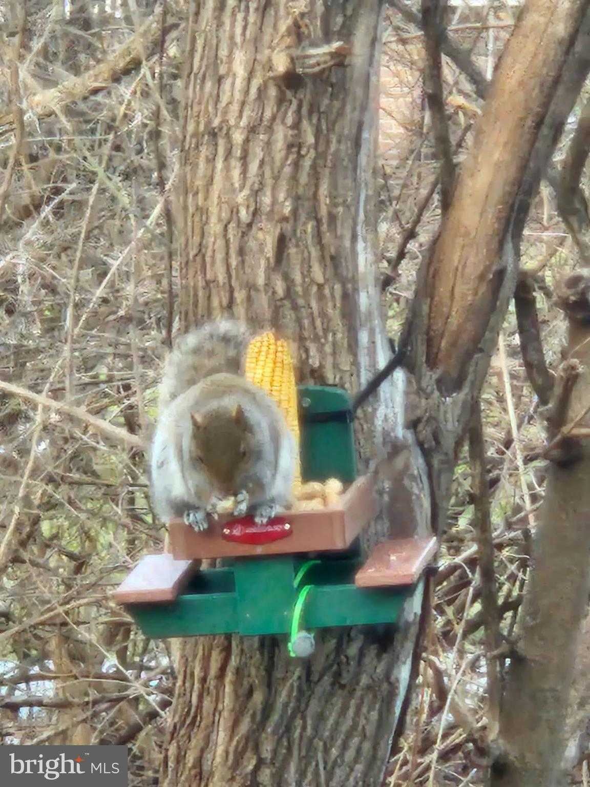 18757 Mesa Ter photo 40