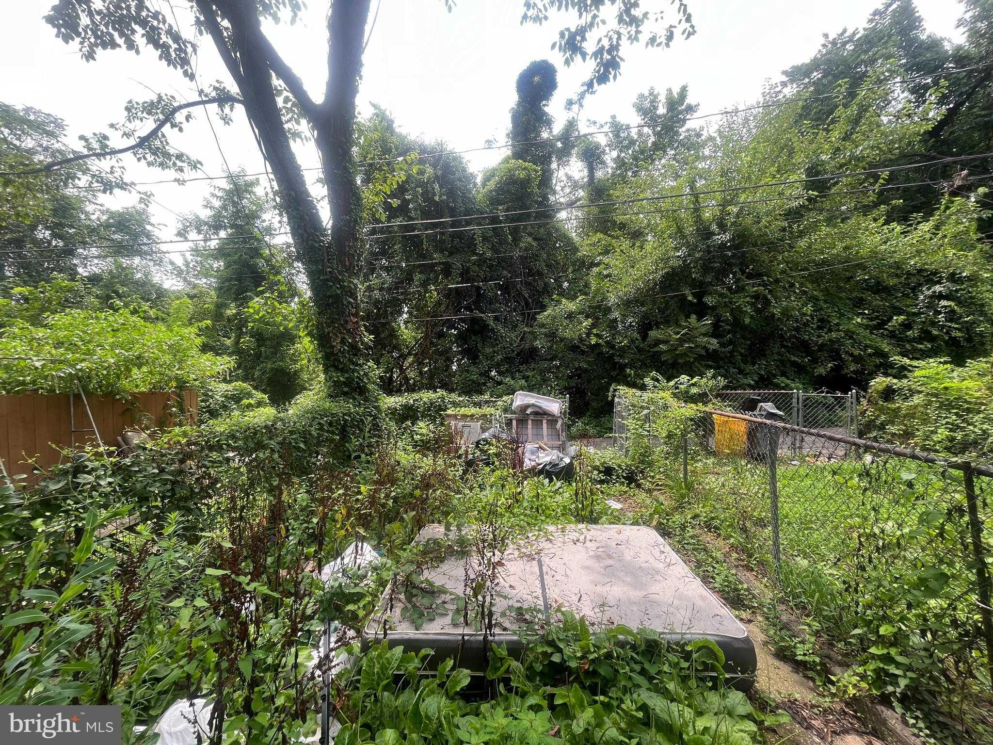 1642 N Ashburton St photo 8