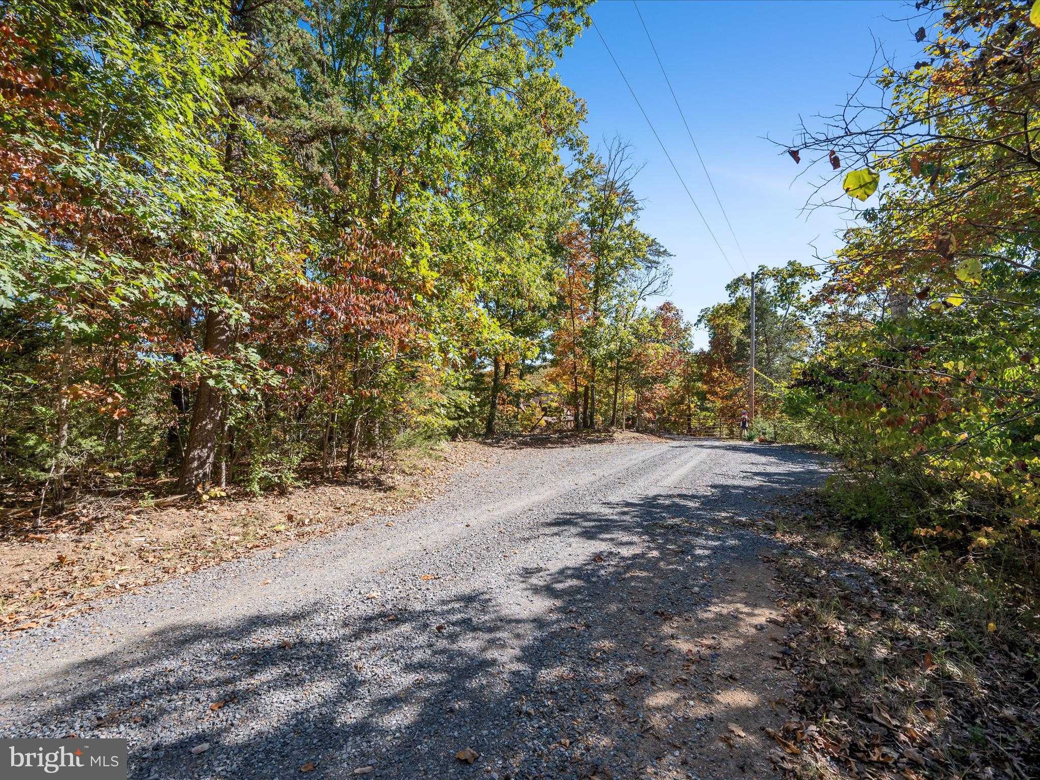 River Ridge Dr photo 17