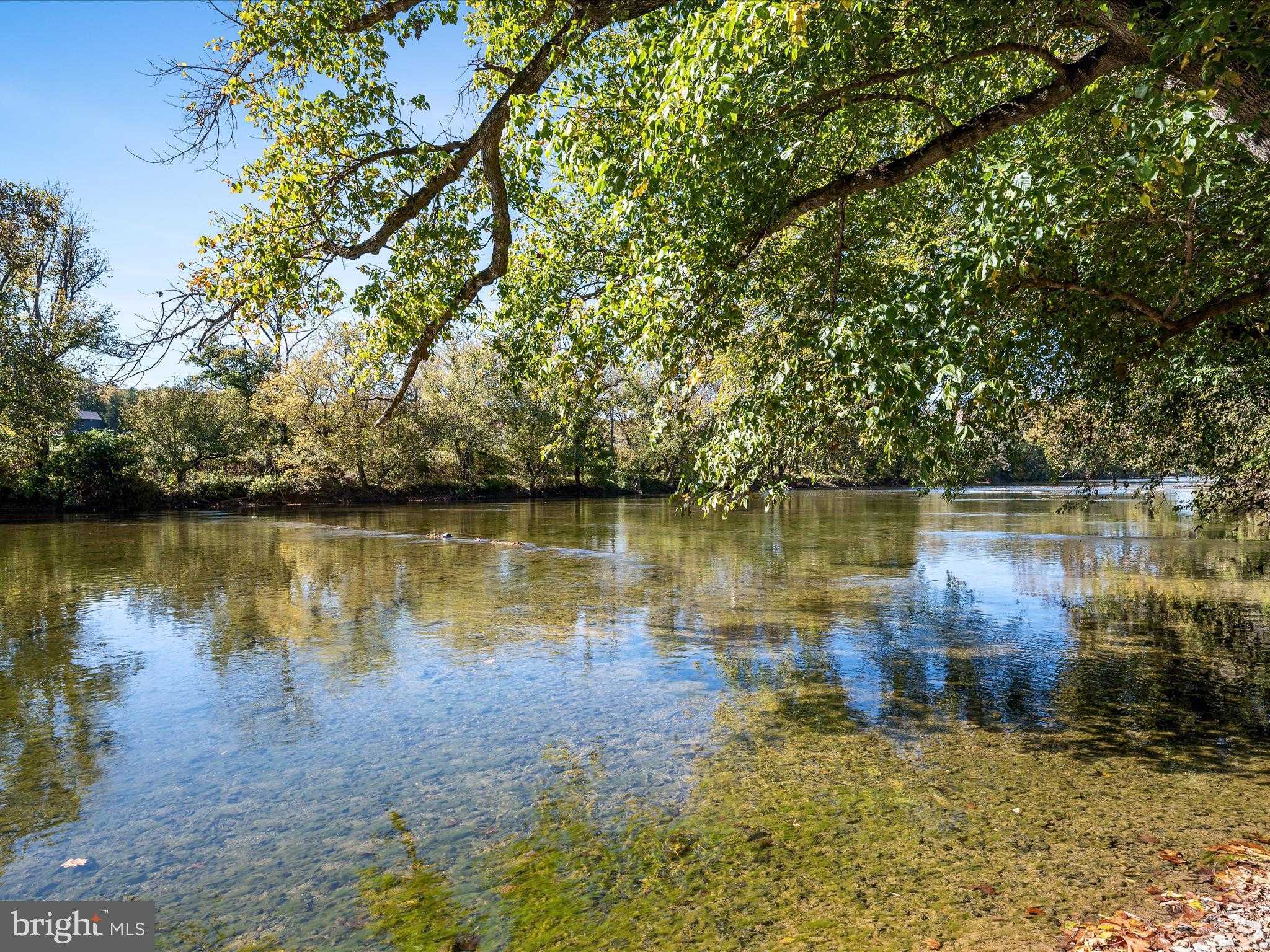 River Ridge Dr photo 4