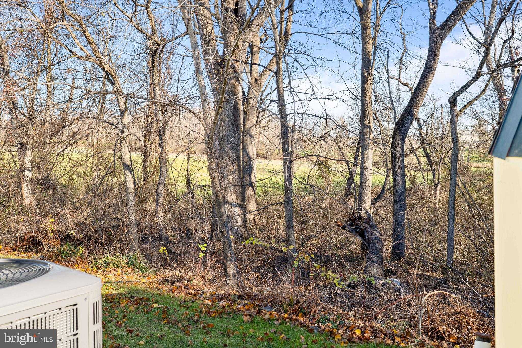 103 Curry Ave photo 29