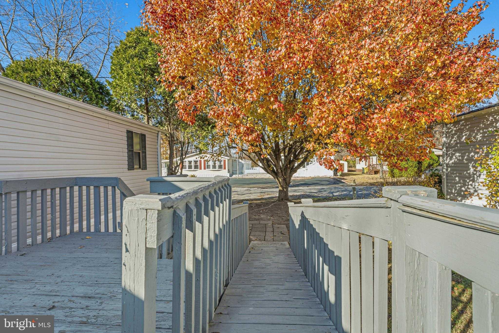 136 Rodeo Cir photo 28