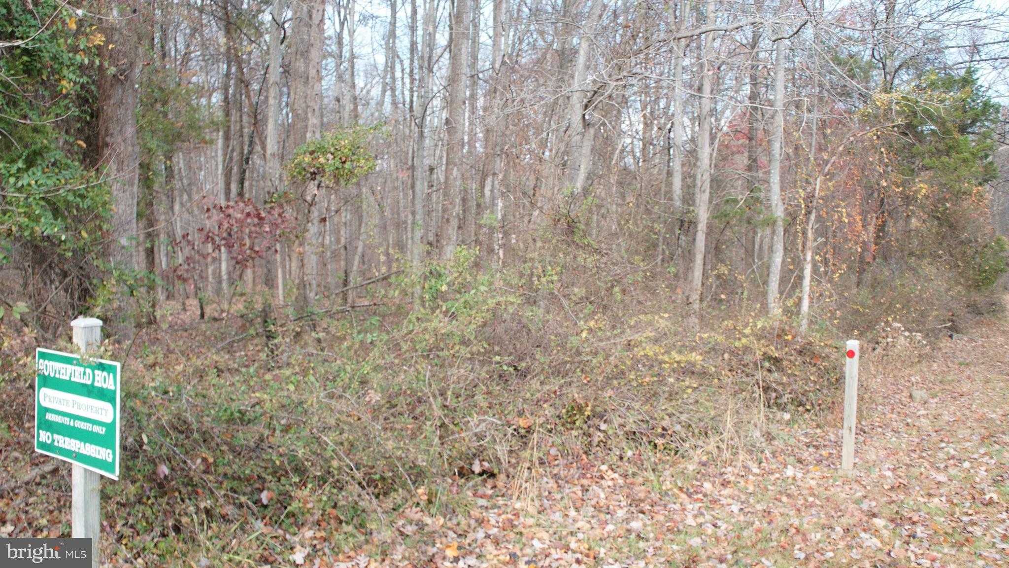 3140 Searsmont Pl photo 3